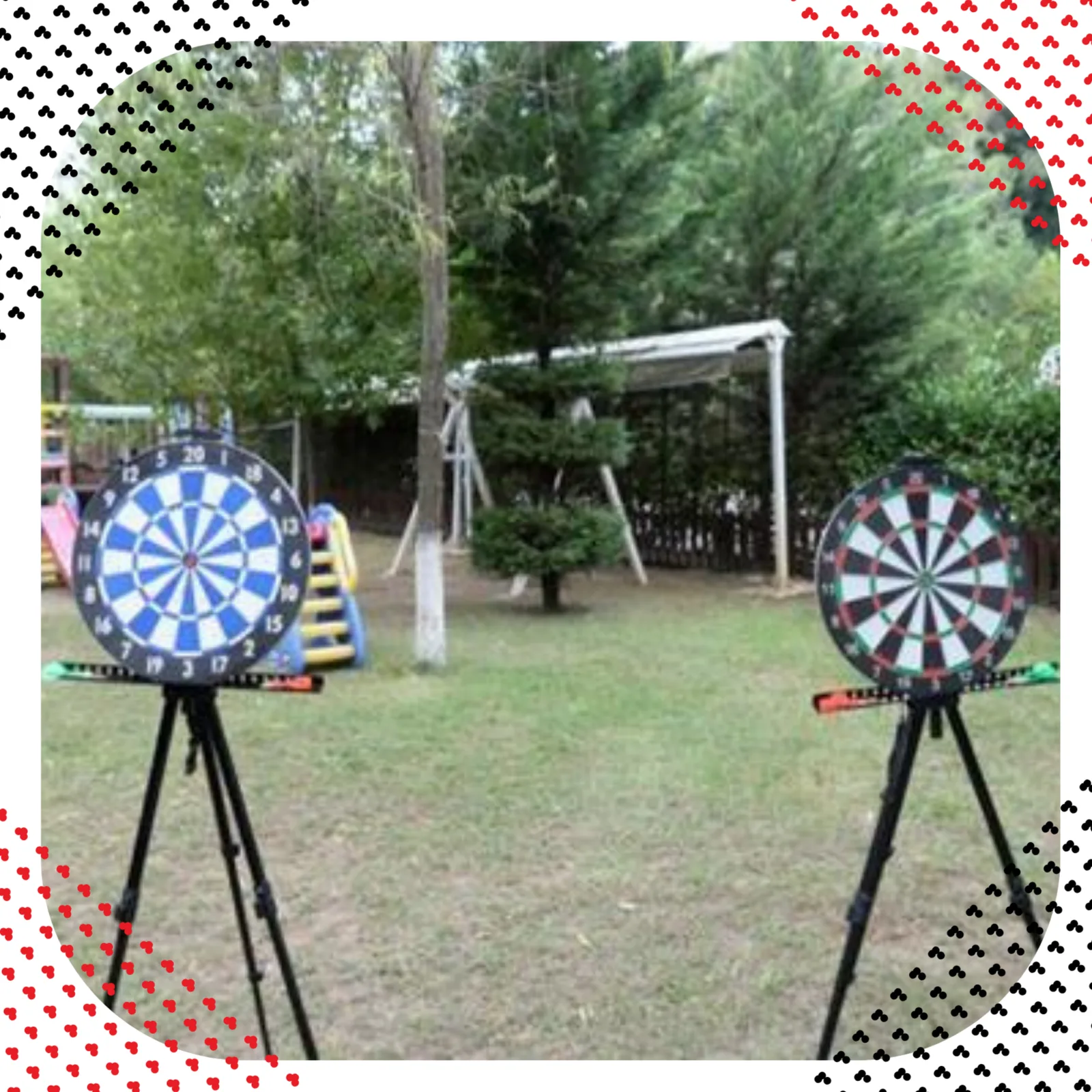 Dart