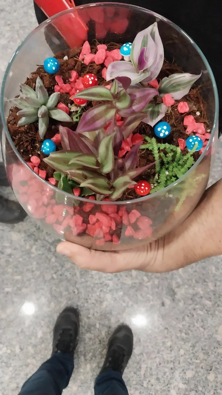 Terrarium & Grass Head Workshop — 5