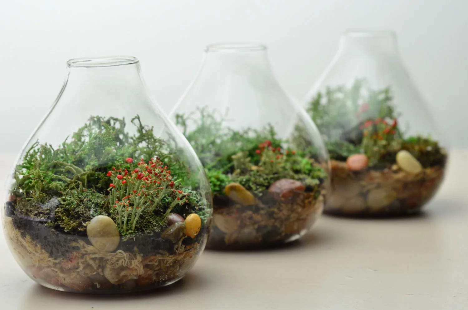Terrarium & Grass Head Workshop — 6