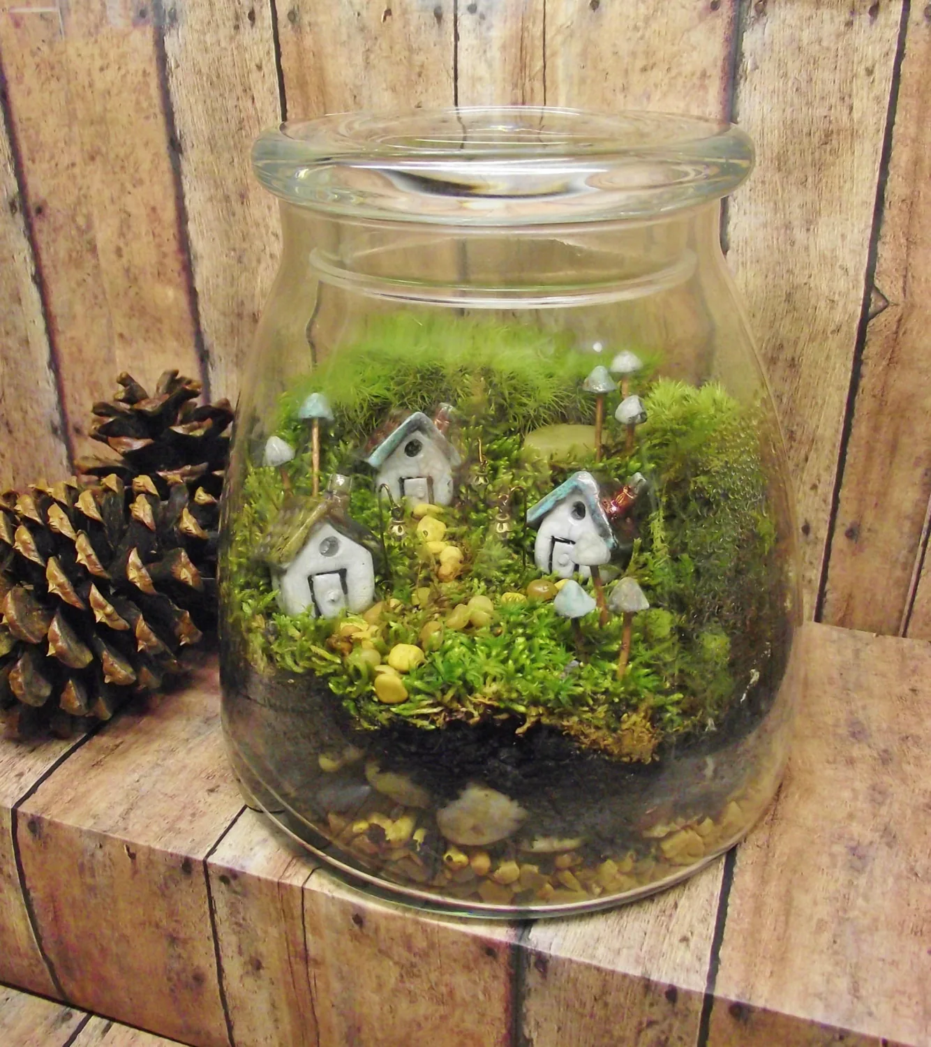 Terrarium ve Çim Adam Atölyesi7