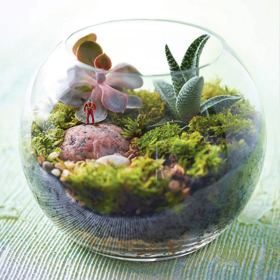 Terrarium ve Çim Adam Atölyesi8